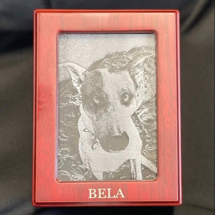 engraved pet ashes container